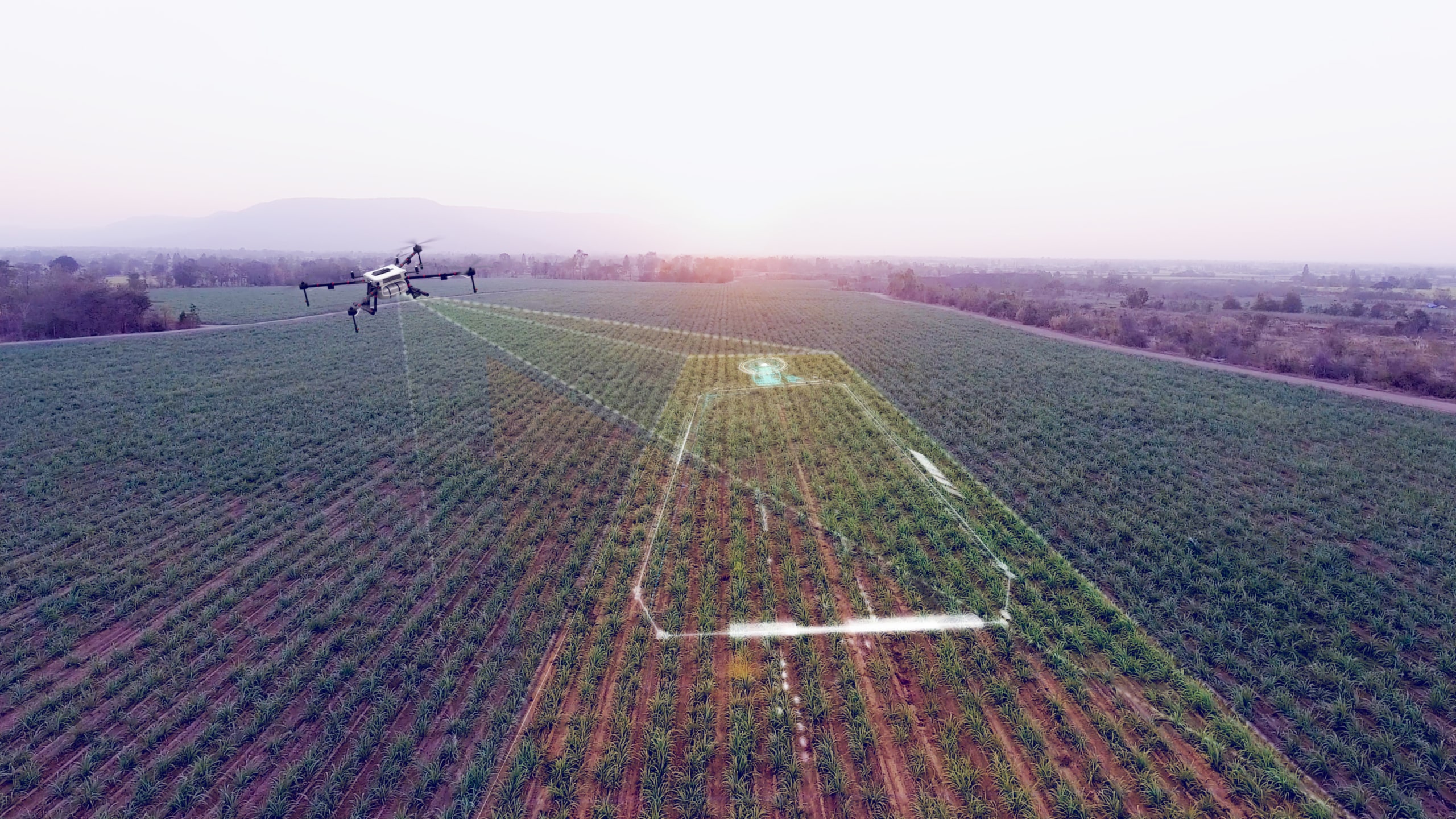 Drone de surveillance survolant une culture, capteurs de sol connectés, logiciel d'analyse d'images aériennes, guide pratique sur l'utilisation des drones en agriculture.