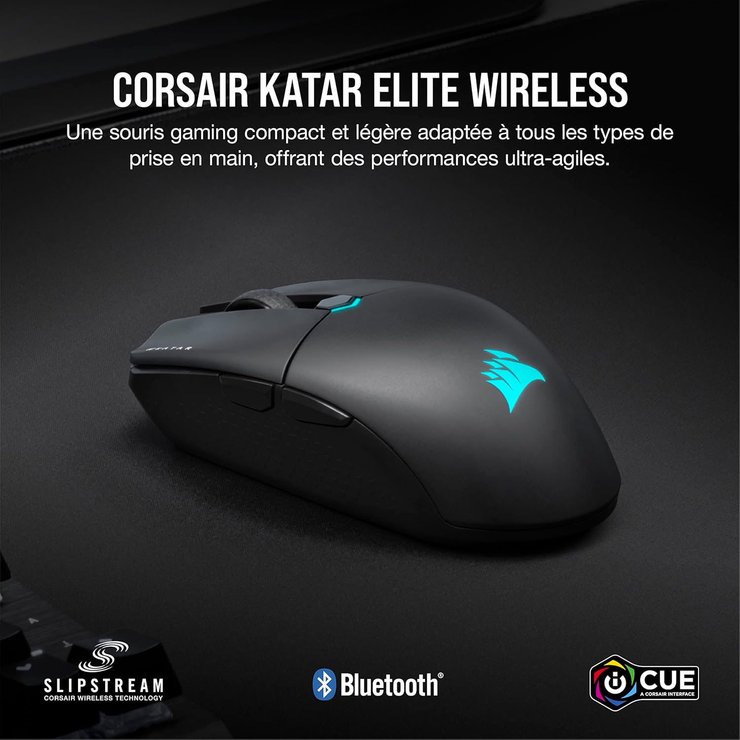 Test & Avis Souris Corsair KATAR Elite