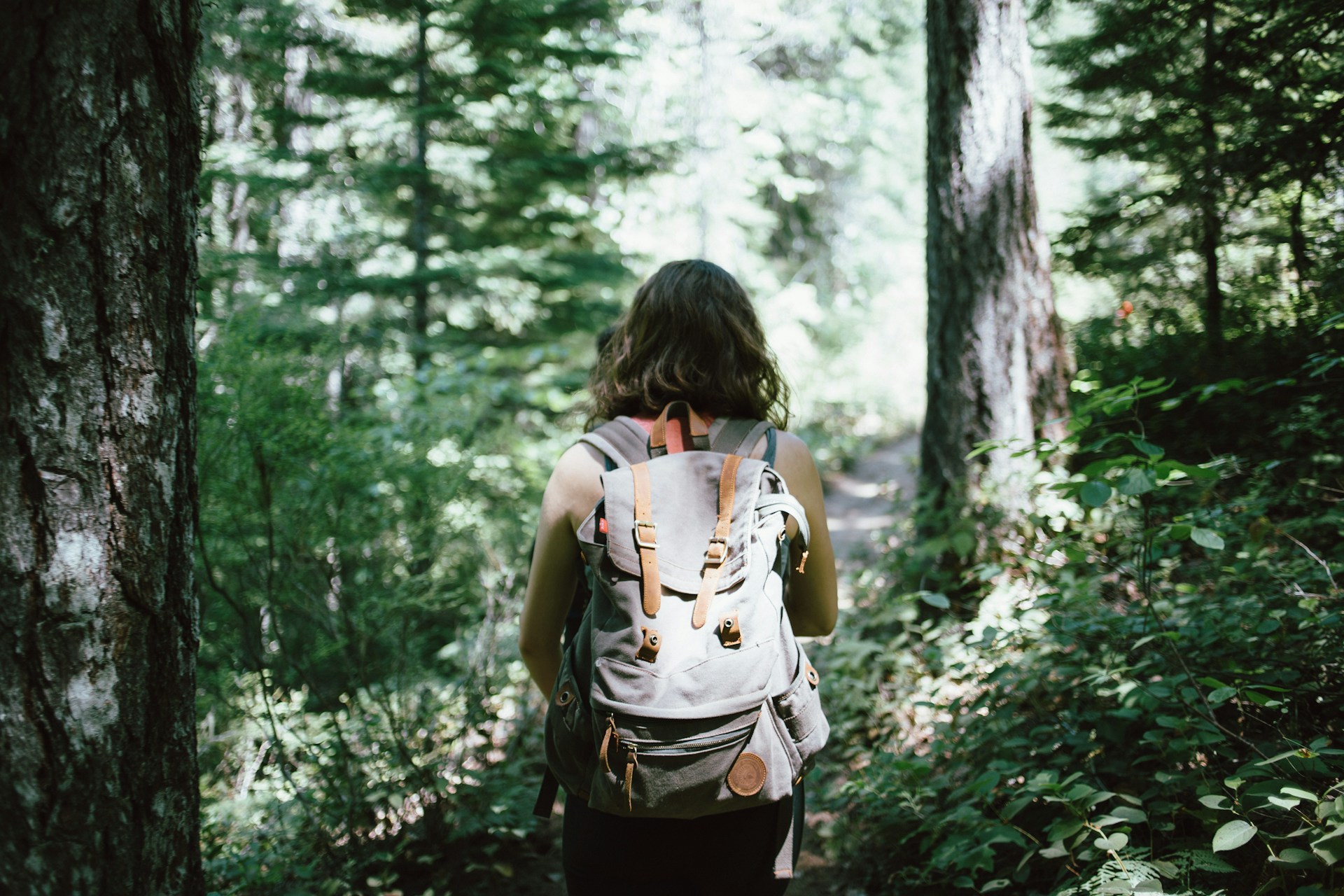 Randonneurs geek admirant parcourant la forêt