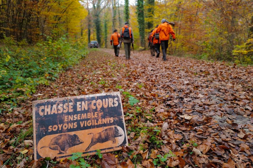 Randonnée en période de chasse : 5 conseils essentiels