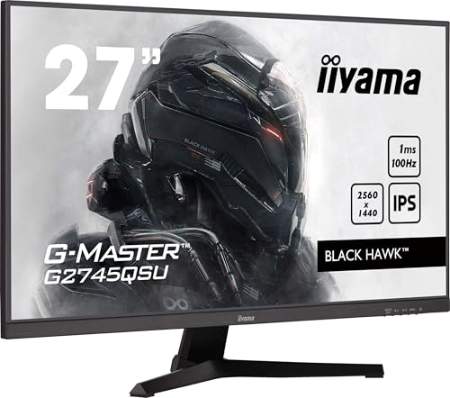 Test & Avis Écran Iiyama G-Master Black Hawk